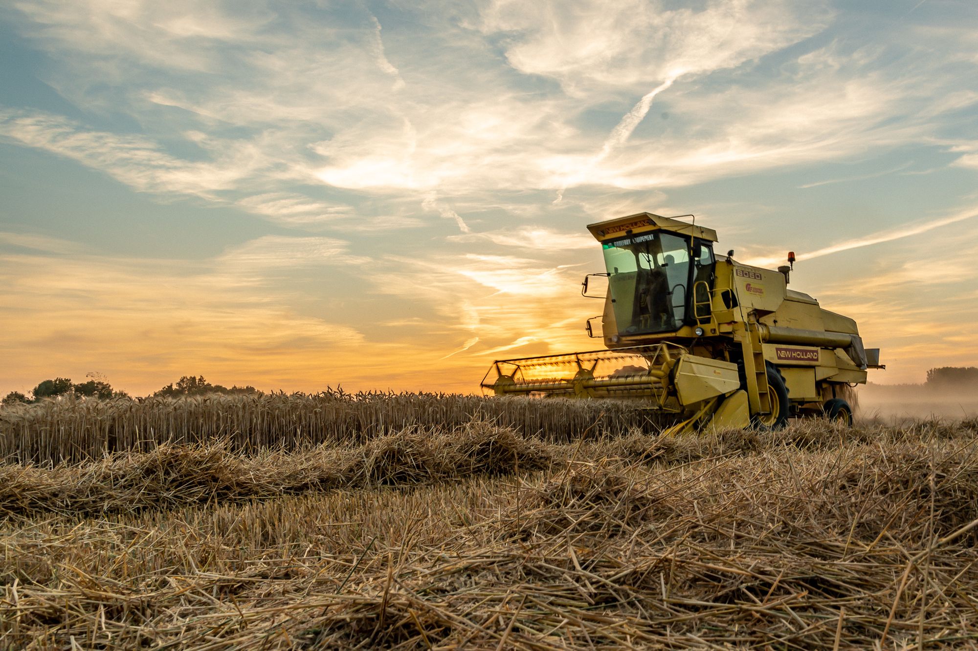 Campagne agricole 2023/2024: une année noire pour l’agriculture marocaine